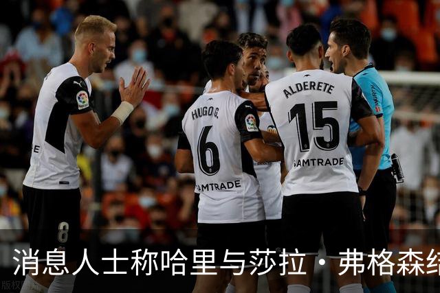 消息人士称哈里与莎拉·弗格森结成"秘密同盟"